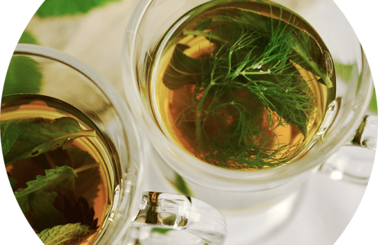 How to Create and Build a Private Label Green Superfood Powder2